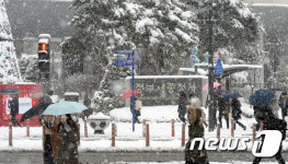 세종지역 폭설에 교통·낙상 등 사고 잇따라
