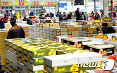 설 연휴 앞두고 분주한 청과물 공판장