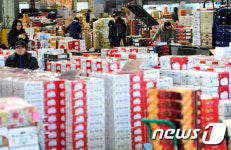 설 연휴 앞두고 분주한 청과물 공판장