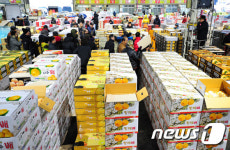 설 앞둔 청과물 공판장
