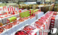 설 대목의 꿈 품은 청과물공판장