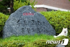 [충북 대학소식] 충북대 수의학과, 국가고시 전원합격