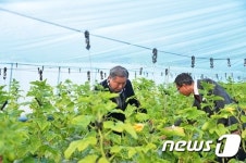 이용우 부여군수, 설 명절 앞두고 농가현장 방문