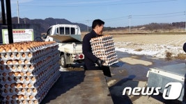 곡성 귀평농장 설명절 독거노인에 계란 기증 미담