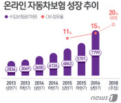 온라인 車 보험 날개…손예진·설리 톱스타 마케팅 눈길