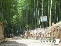 거제시, 맹종죽 테마파크 4월초까지 새단장 