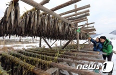 황태덕장 바라보는 가족