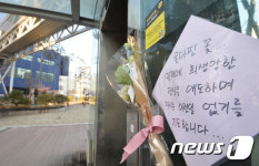 메타폴리스 인근에 붙어 있는 국화