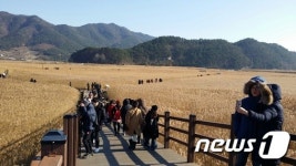 순천만 습지 부분 개방…탐조선 운항 계속 금지