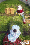 화왕산 청정 미나리 본격 출하