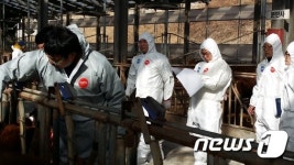 거창군, 구제역 유입차단 총력 대응 