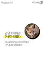 [펫카드] 오늘부터 나는 네발로 걷는다
