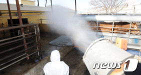 도축장 소독 철저