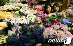 봄 인테리어는 꽃장식 어떠세요