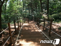 천안시 도심 등산로 야자매트 설치로 안전 강화 