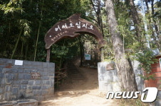 관광공사 추천 3월 걷기 여행길…평창 오대산 선재길 등