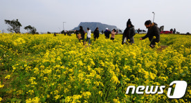 봄기운 가득한 서귀포