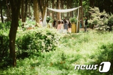도시락으로 피로연…공원에서의 작은 결혼식 인기