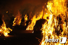 제주 들불축제서 활활 타오르는 달집