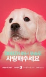 [펫카드] 강아지가 아닌 모습도 사랑해주세요