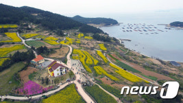 슬로시티 완도 청산도서 4월 한달간 슬로걷기 축제
