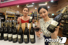 1만원대에 만나는 고스트파인 피노누아