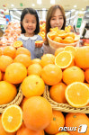 롯데마트 오렌지의 계절이 왔다