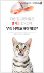 [펫카드] 우리 고양이 생식해도 괜찮을까?