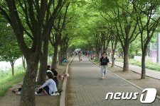 춘천시 공지천 뜨락 부지에 공원 조성