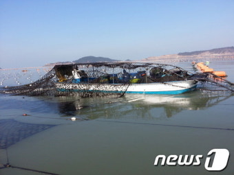 잡초제거 2.7배 '고염수 활성처리제'...김 양식장에 추가 도입