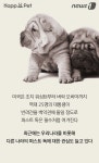 [펫카드] 대통령이 키우는 반려견, 퍼스트 독의 세계