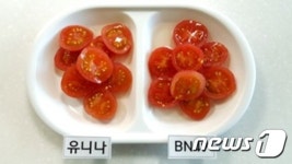 고성군, 방울토마토 피클 시제품 평가회 개최 