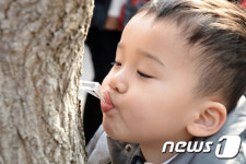인제군, 제13회 미산계곡 방태산 고로쇠축제 개막