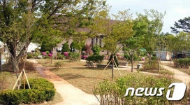 태백시, 함태초등학교 내 ‘명상 숲’ 조성