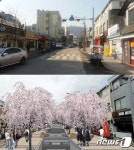 남산한옥마을 새 명소 필동 서애길 보행진화거리로 조성 