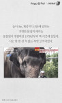 [펫카드] 그 코끼리는 왜 사육사를 죽였을까