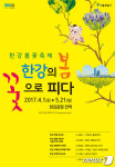봄이 왔어요…4월1일~5월21일 한강봄꽃축제