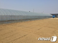 김포농업기술센터 도시텃밭 40구획 분양…선착순 모집