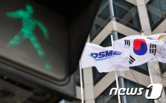 대우조선해양 대마불사