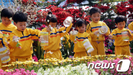함평군 나비축제 성공 기원 2036마리 나비 날려