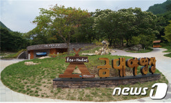 구룡자동차야영장·금대에코힐링캠핑장 다음달 1일 개장