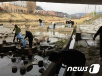 진안군, 용담호 유입 하천서 정화 활동 전개