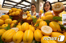 최고의 신선도 새벽 직송 성주 참외