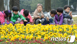 인제군, 어린이집 대상 봄꽃심기 체험