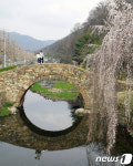 영산 만년교에서 포즈취한 연인