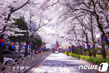 벚꽃나들이 숨은 명소 서초구 방배동을 아시나요?