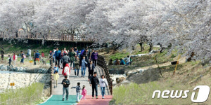 서산 해미천 벚꽃축제 8일 개막