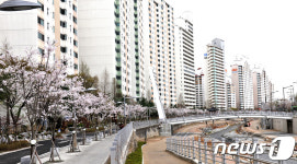 당현천 벚꽃 구경오세요