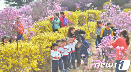 꽃보다 이쁜 아이들