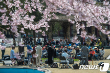 완연한 봄, 덕수궁에서 즐기는 우리 음악